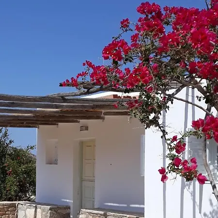 בית נופש The Artists House - Traditional *